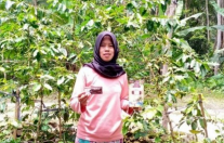 Iis beralih profesi dari penjaga kantin  menjadi pengusaha kopi terkenal di  Pangandaran | Detik Jabar/Istimewa  (detik.com). 